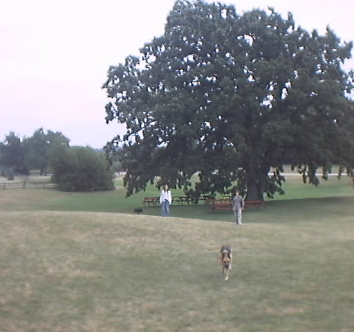 ThePark08.JPG (47886 bytes)