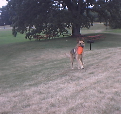 ThePark09.JPG (48406 bytes)