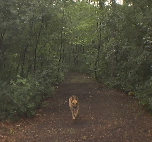 ThePark10.JPG (60056 bytes)