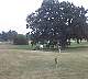 tn_ThePark08_JPG.jpg (1731 bytes)