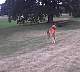 tn_ThePark09_JPG.jpg (1540 bytes)